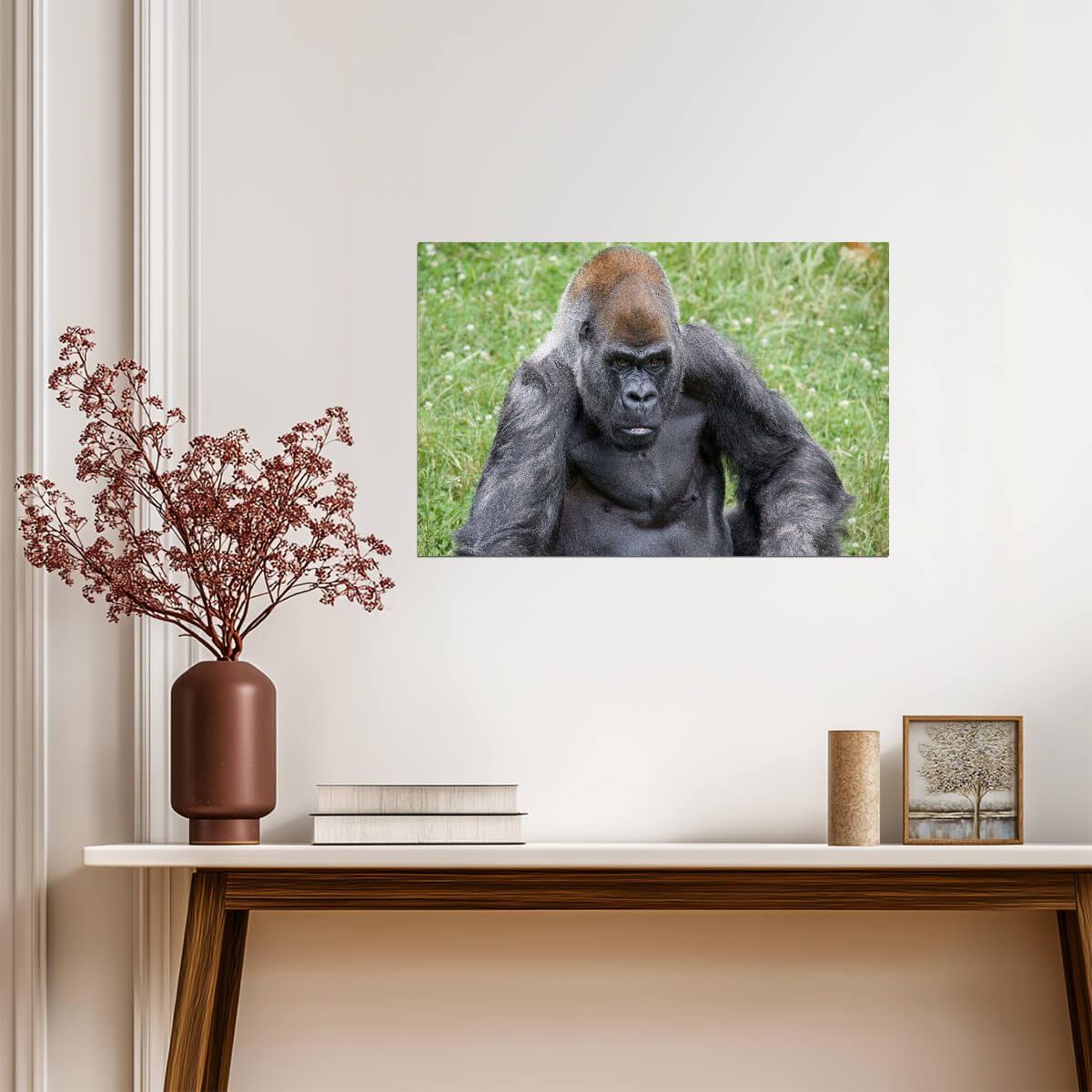 Gorilla | Primate Photography | Animal Poster - Photography Poster