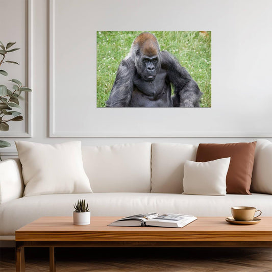 Gorilla | Primate Photography | Animal Poster - Photography Poster