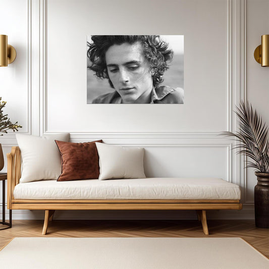 Timothée Chalamet Close Up | Monochrome Photo Print | Celebrity Star Poster - Celebrities Poster
