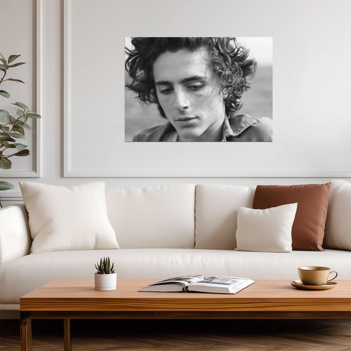 Timothée Chalamet Close Up | Monochrome Photo Print | Celebrity Star Poster - Celebrities Poster