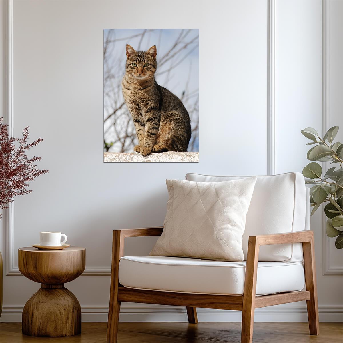 Brown Tabby Cat Sitting on Wall | Pet Photography Poster | Cute Animal Wall Art - Photography Poster