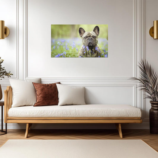 French Bulldog | Dog Portrait | Pet Poster - Photography Poster