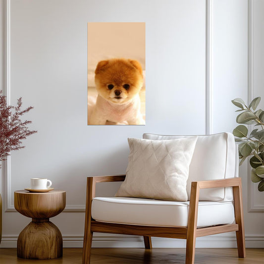Dog Puppy | Cute Animal Print | Pet Poster - Photography Poster
