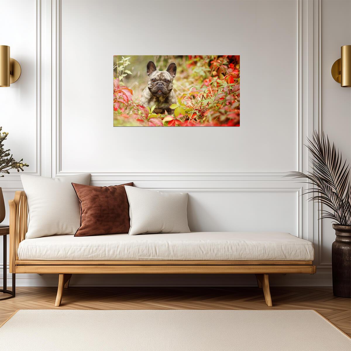 French Bulldog | Cute Puppy Print | Animal Poster - Photography Poster