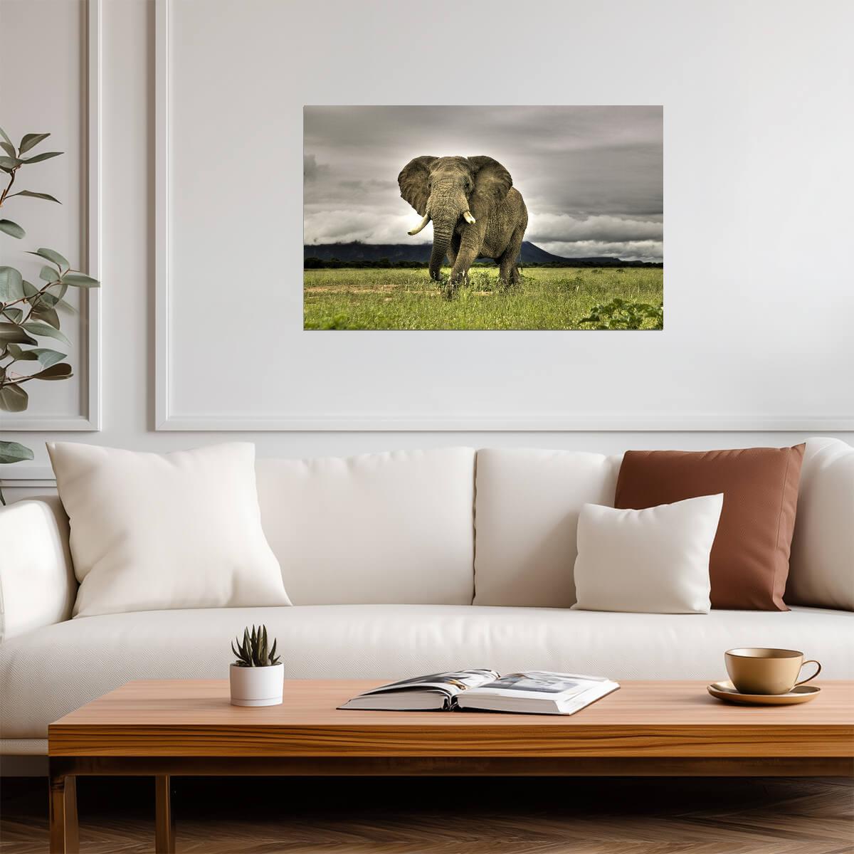 Elephant | Neutral Tone Art | Zoo Animal Poster - Photography Poster