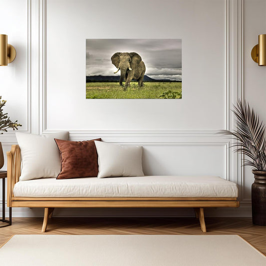 Elephant | Neutral Tone Art | Zoo Animal Poster - Photography Poster