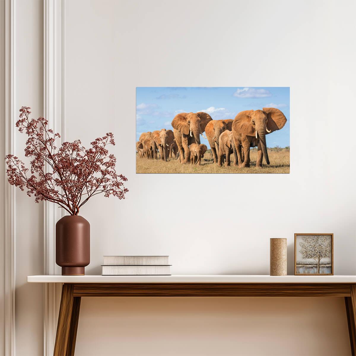 Elephant | Multicolor Illustration | Kids Wall Poster - Photography Poster