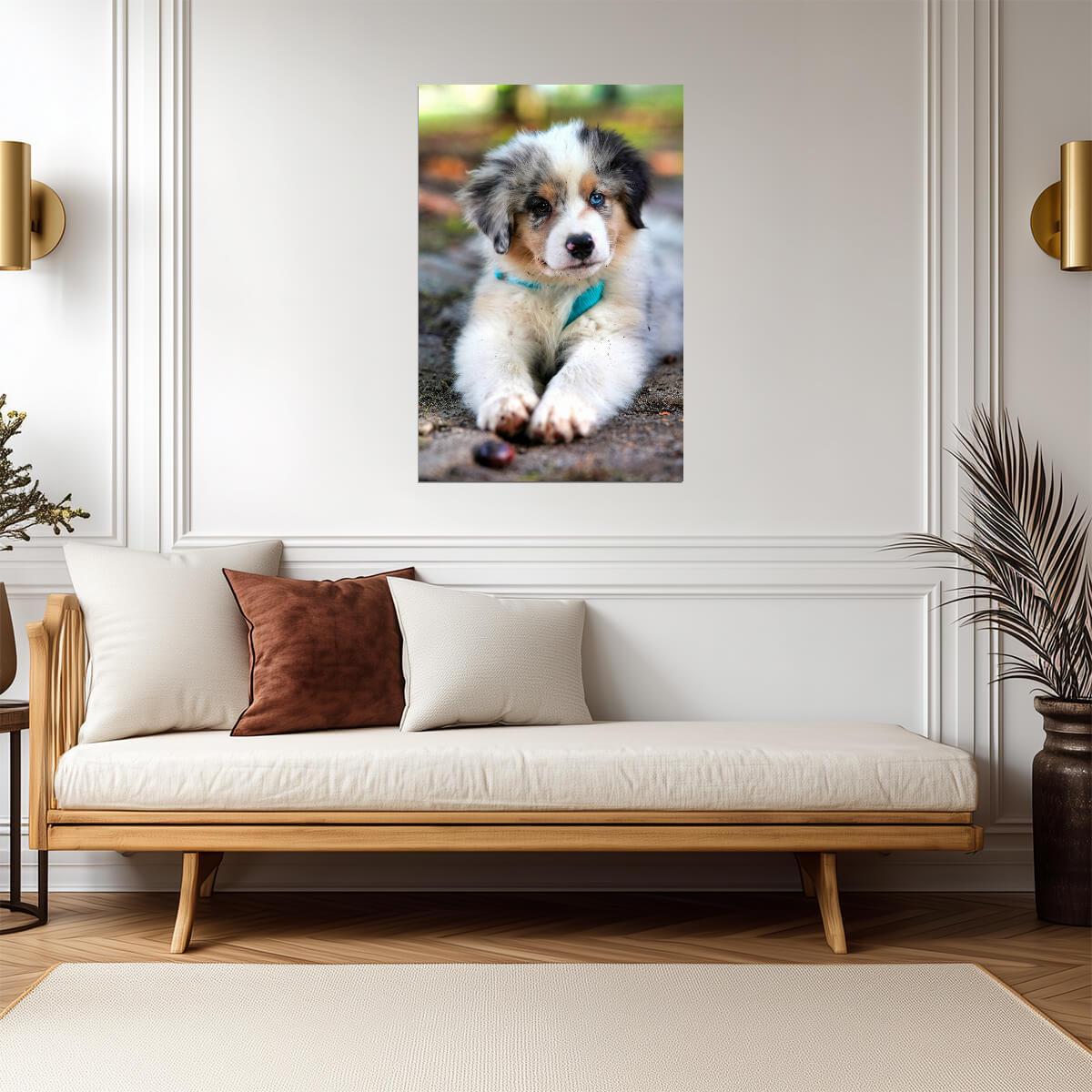 Dog Puppy | Canine Portrait | Nursery Wall Poster - Photography Poster