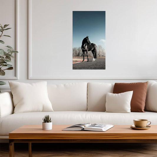Horse | Cool Tone Print | Nature Wall Poster - Photography Poster