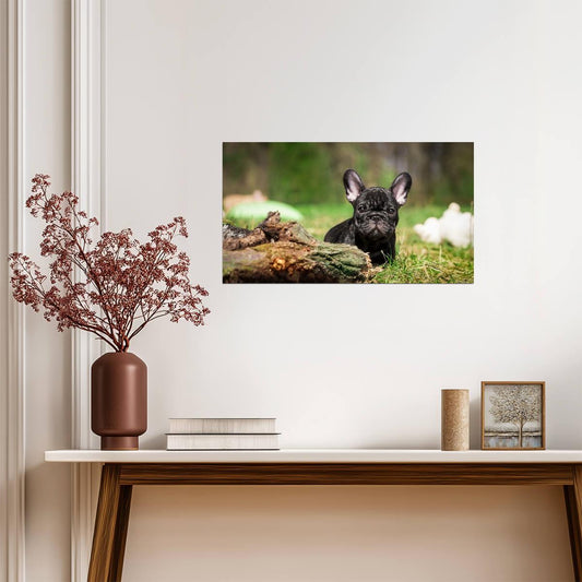 French Bulldog | Warm Tone Art | Dog Lover Poster - Photography Poster