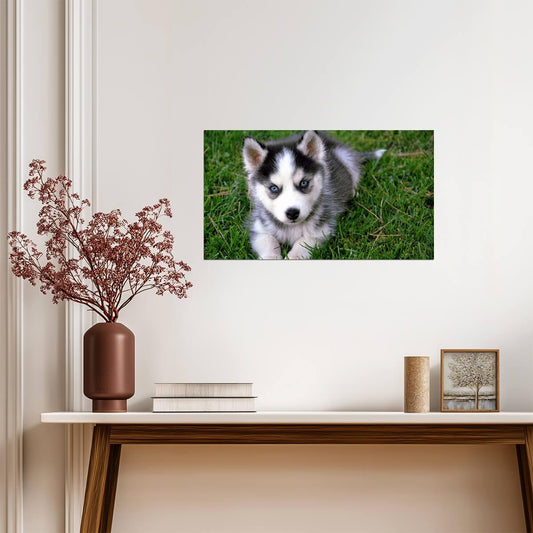 Dog Puppy | Neutral Tone Photo | Home Decor Poster - Photography Poster