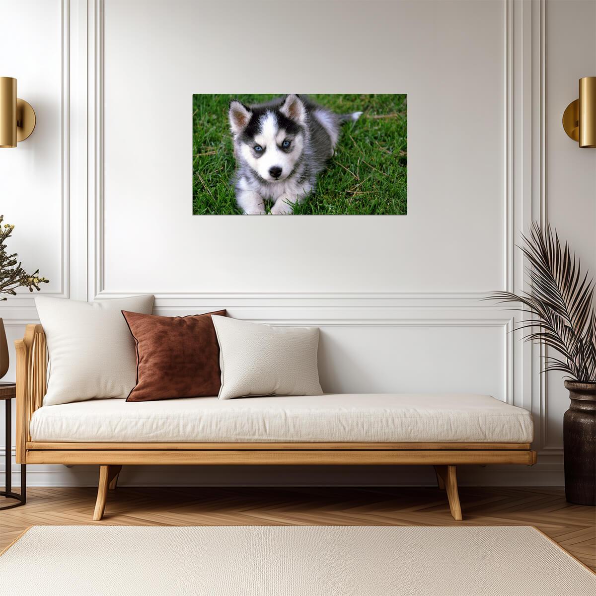 Dog Puppy | Neutral Tone Photo | Home Decor Poster - Photography Poster