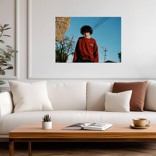 Finn Wolfhard | Canadian Actor | Wall Art Poster - Celebrities Poster