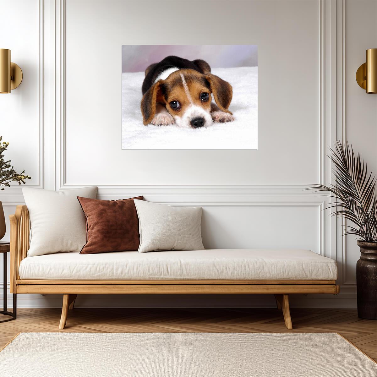Dog Puppy | Best Friend Print | Dog Lover Poster - Photography Poster