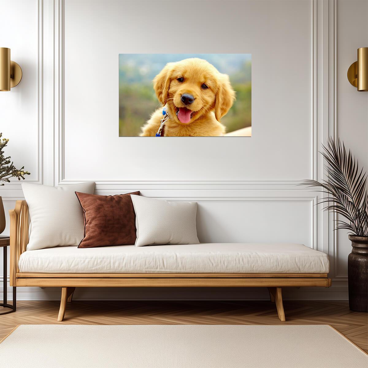 Dog Puppy | Golden Hour Photo | Nature Poster - Photography Poster