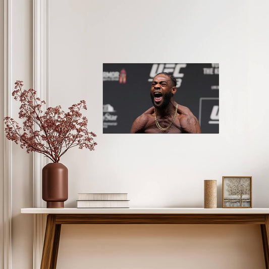 Aljamain Sterling | UFC Fighter Poster | MMA Wall Art - Sports Poster