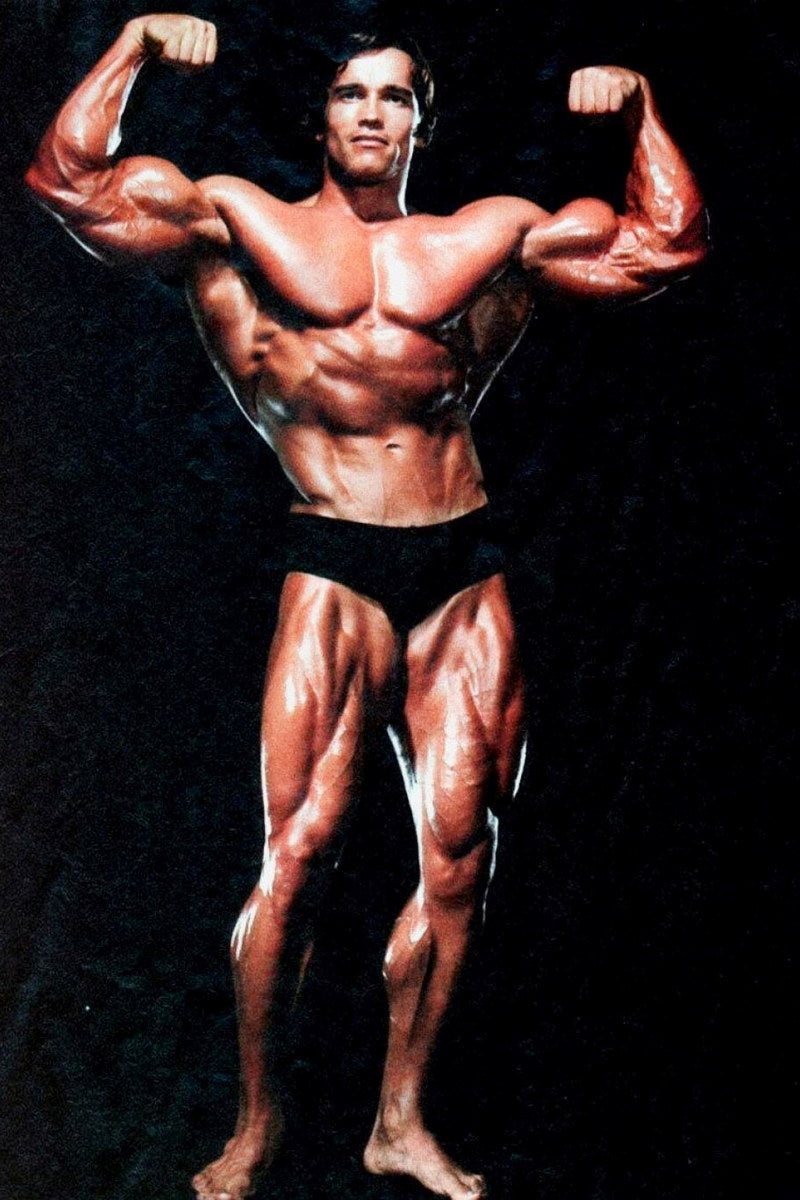 Arnold Schwarzenegger Double Biceps Pose | Bodybuilding Legend Poster | Vintage Gym Wall Art