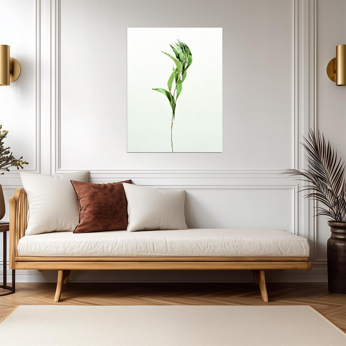Minimalist Bamboo Leaf | Modern Botanical Photography | Scandinavian Greenery Poster
