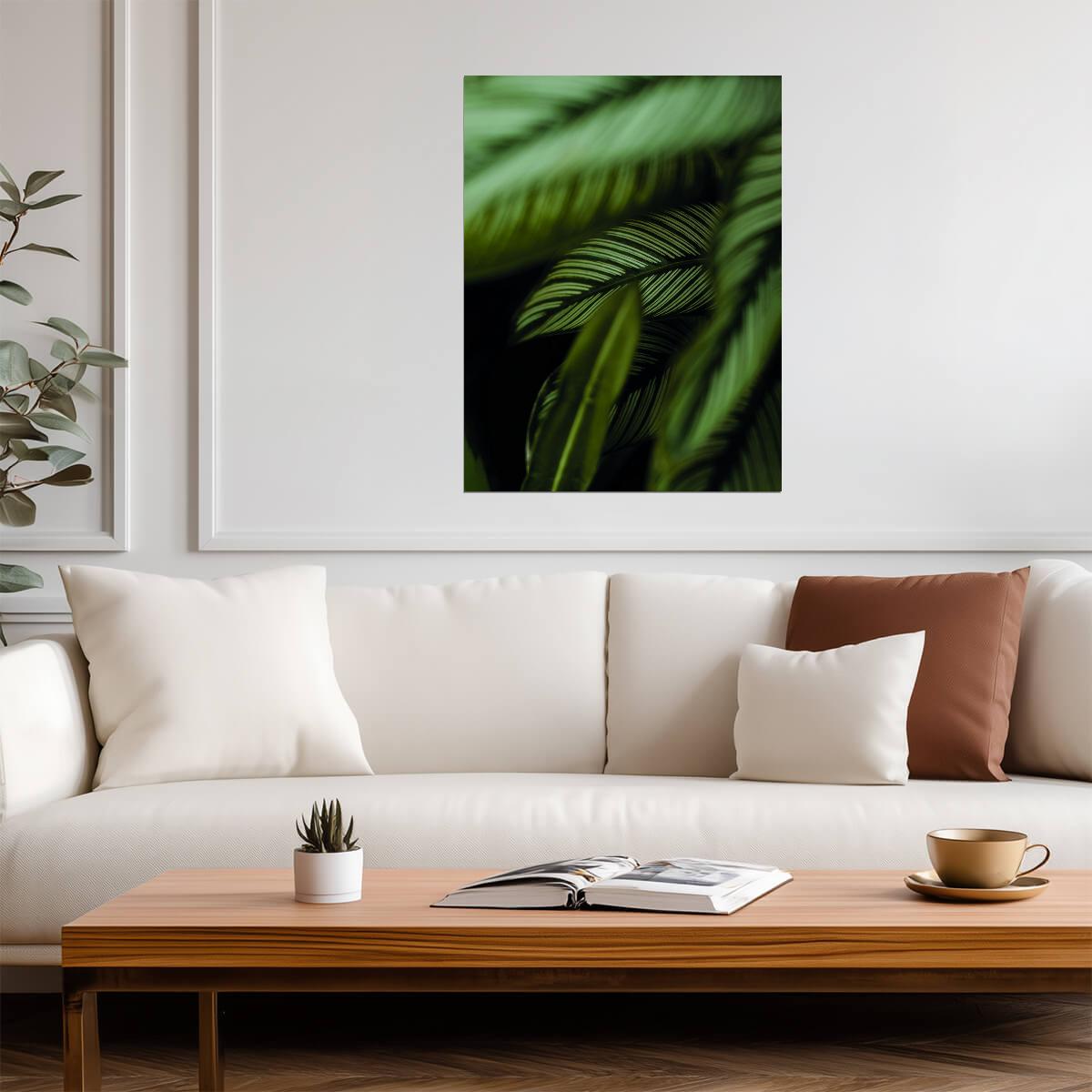 Tropical Calathea Leaves | Botanical Garden Photography | Lush Green Nature Poster