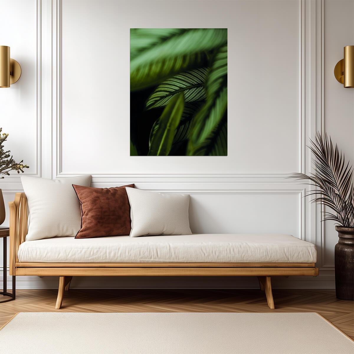 Tropical Calathea Leaves | Botanical Garden Photography | Lush Green Nature Poster