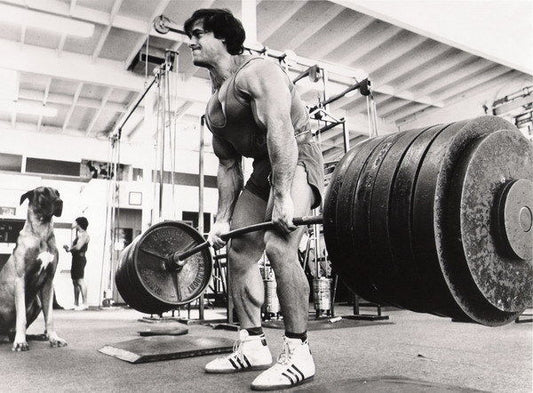 Franco Columbu Bodybuilding Pose | Fitness Legend Poster | Vintage Gym Motivation Art