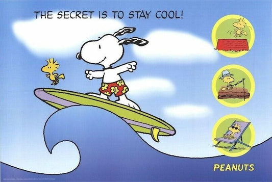 Peanuts | Snoopy & Woodstock Surfing | Charles Schulz Cartoon Poster - Movies & TV Poster