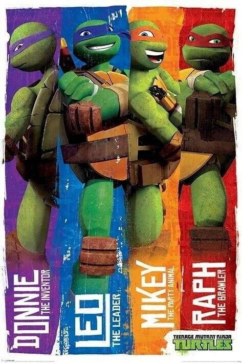 Teenage Mutant Ninja Turtles | The Team with Roles Poster | Kids Cartoon Art - Movies & TV Poster