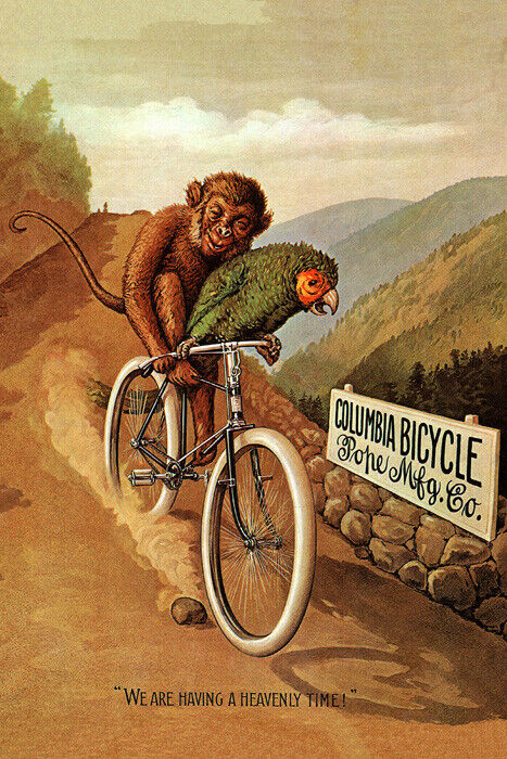 Columbia Bicycle | American Vintage Ad with Parrot and Monkey Poster