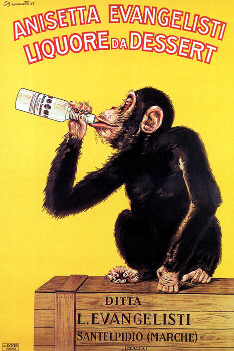 Anisetta Evangelisti | Vintage Italian Dessert Liquor with Monkey Poster