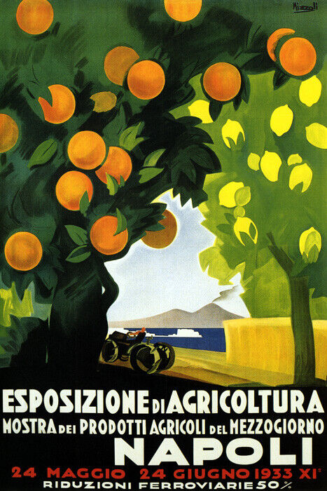 Napoli 1933 | Vintage Italian Agriculture and Orange Expo Poster