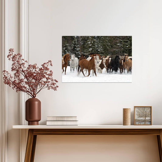 Wild Horse Roundup | Western Photography Print | American Frontier Poster - Photography Poster