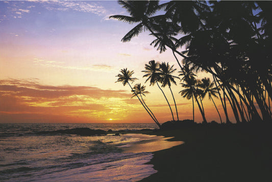 Evening in the Maldives | Tropical Sunset Photography | Seascape Wall Art Poster - Photography Poster