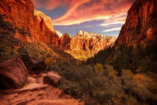 Zion Valley National Park View | Navajo Sandstone Landscape | Utah Photography Poster - Photography Poster