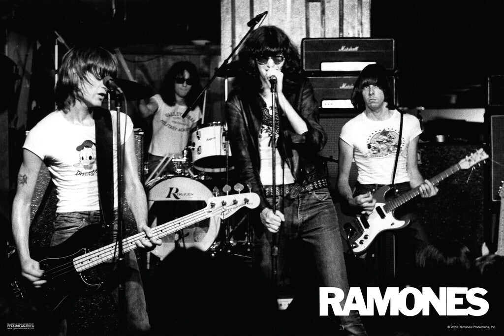Ramones Live Concert Poster | Punk Rock Wall Art | Black and White Band Photo