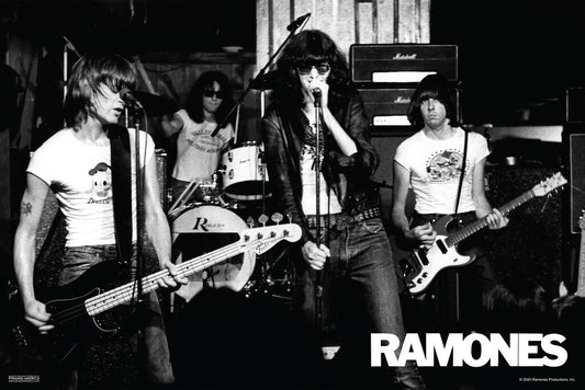Ramones Live Concert Poster | Punk Rock Wall Art | Black and White Band Photo