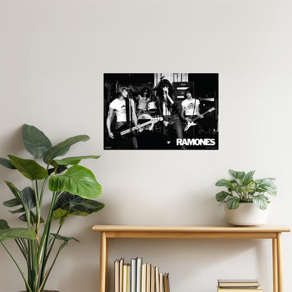 Ramones Live Concert Poster | Punk Rock Wall Art | Black and White Band Photo