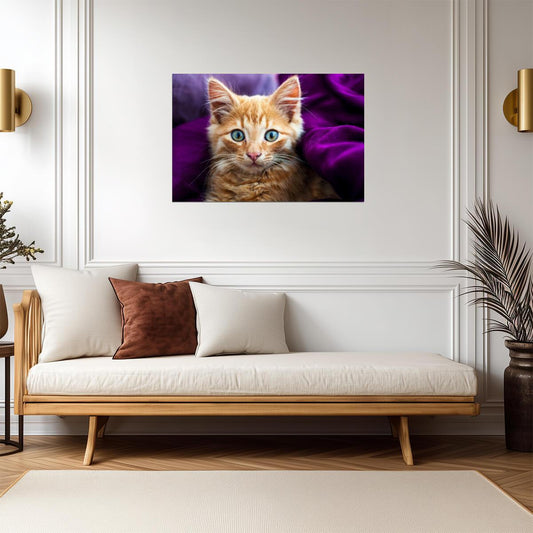 Fluffy Ginger Kitten | Softness Pet Photography | Cute Cat Poster - Photography Poster