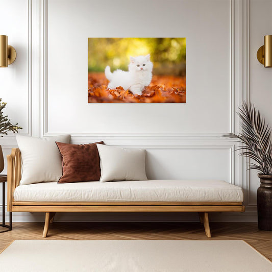 Cute White Kitten Stalking in Autumn Leaves | Pet Photography | Cat Poster - Photography Poster