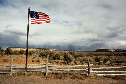 American Flag in Rural Landscape Poster | Americana Photography | Patriotic Wall Art