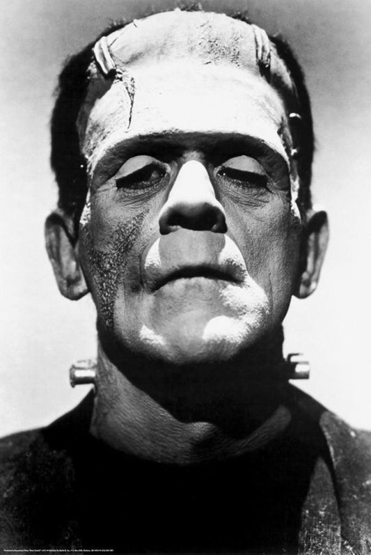 Frankenstein | Boris Karloff as The Monster | Classic Horror Movie Poster - Movies & TV Poster