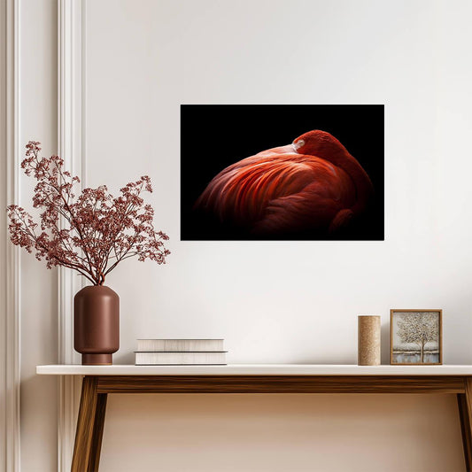 Pink Flamingo Portrait | Wildlife Photography Print | Tropical Bird Poster - Photography Poster