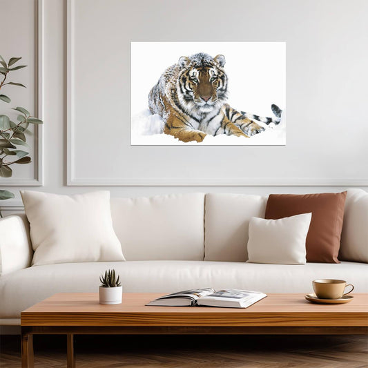 Siberian Tiger in the Snow | Wildlife Photography Print | Animal Wall Art Poster - Photography Poster