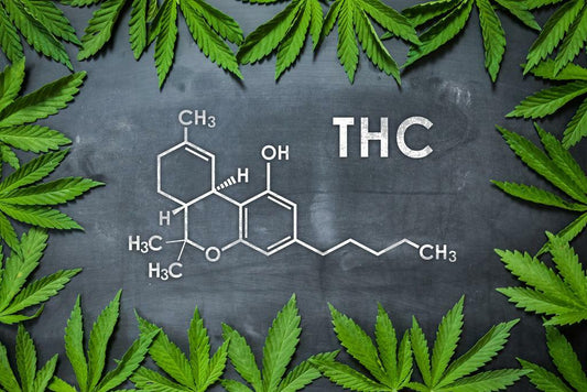 THC Marijuana Molecule | "The Happy Molecule" | Funny Science Poster - Type & Quotes Poster