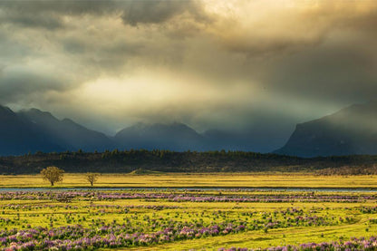 Lake Tekapo New Zealand Poster | Mountain Landscape Photography | Nature Wall Art