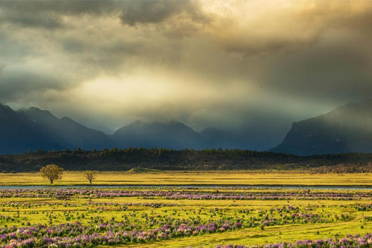 Lake Tekapo New Zealand Poster | Mountain Landscape Photography | Nature Wall Art