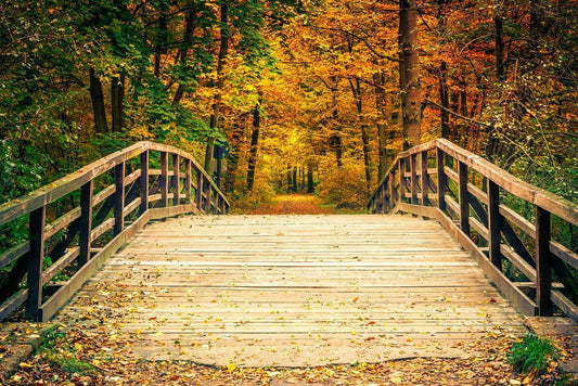 Autumn Forest Bridge Poster | Nature Photography | Fall Foliage Wall Art