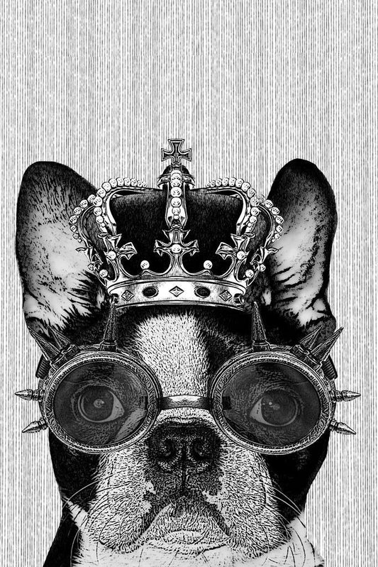 Hipster Boston Terrier with Crown and Steampunk Goggles | Illustrated Dog Poster - Graphic & Art Poster