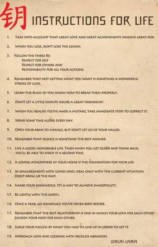 Instructions for Life | Dalai Lama Motivational Poster