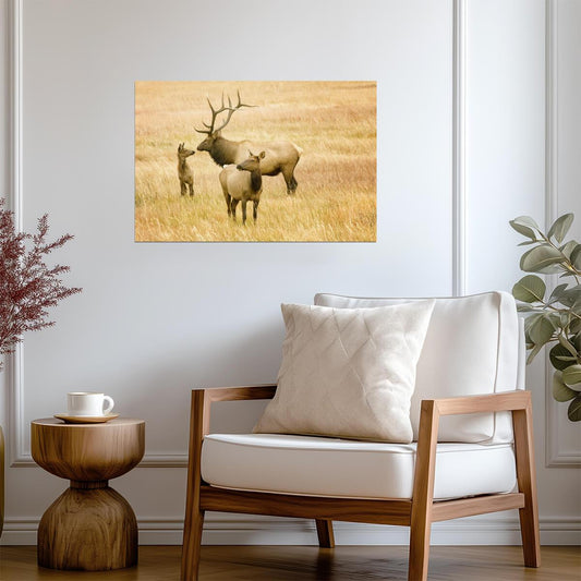 Elk Family in the Rocky Mountains | Wildlife Photography Poster - Photography Poster