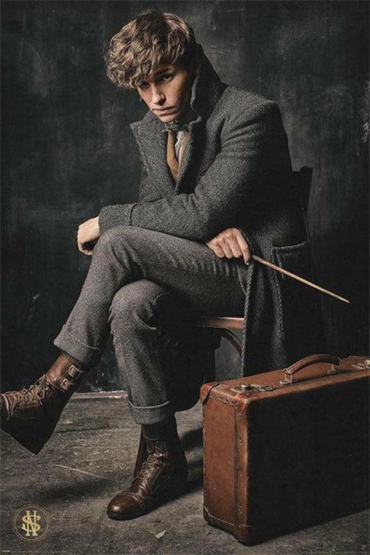 Fantastic Beasts: The Crimes Of Grindelwald | Newt Scamander Poster - Movies & TV Poster
